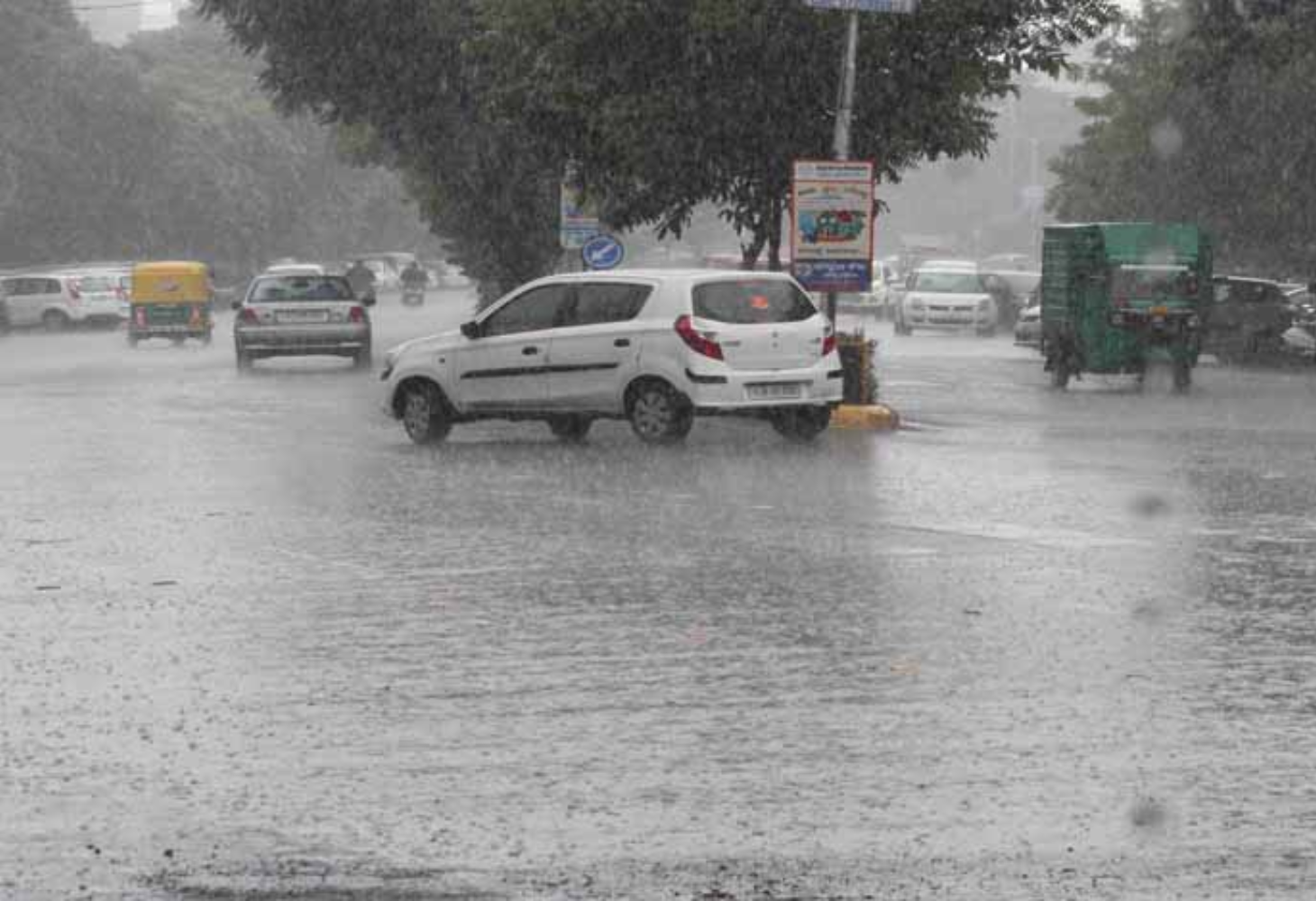 ભાવનગર અને બોટાદમાં ઠંડક પ્રસરી,અષાઢમાં શ્રાવણ જેવો માહોલ!