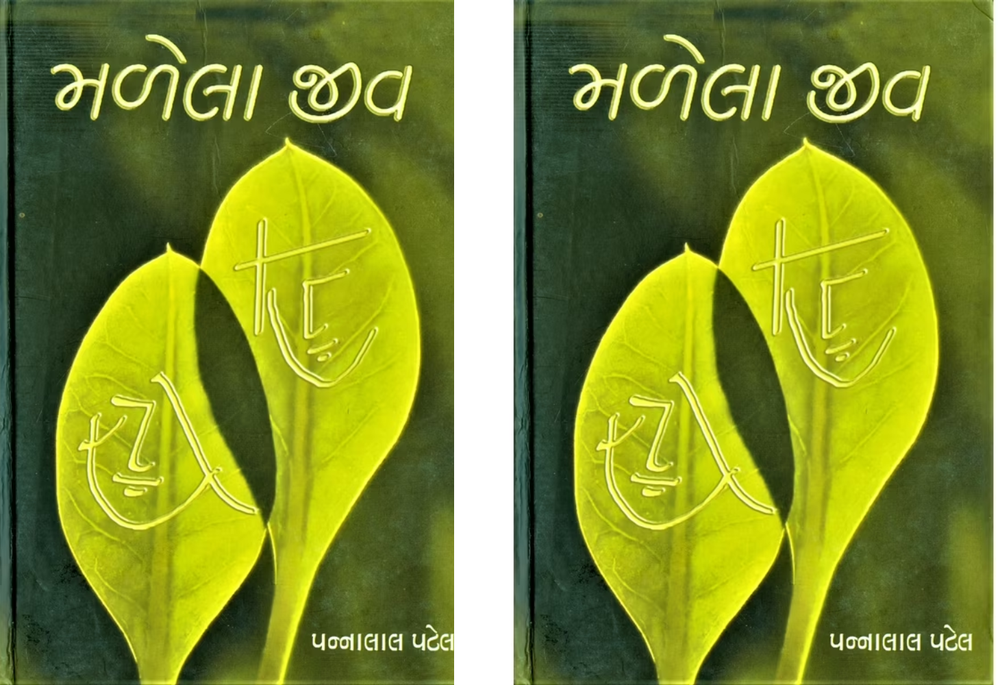 'મળેલા જીવ': પ્રેમ, જ્ઞાતિભેદ અને વિધિના ખેલની એક અમરગાથા