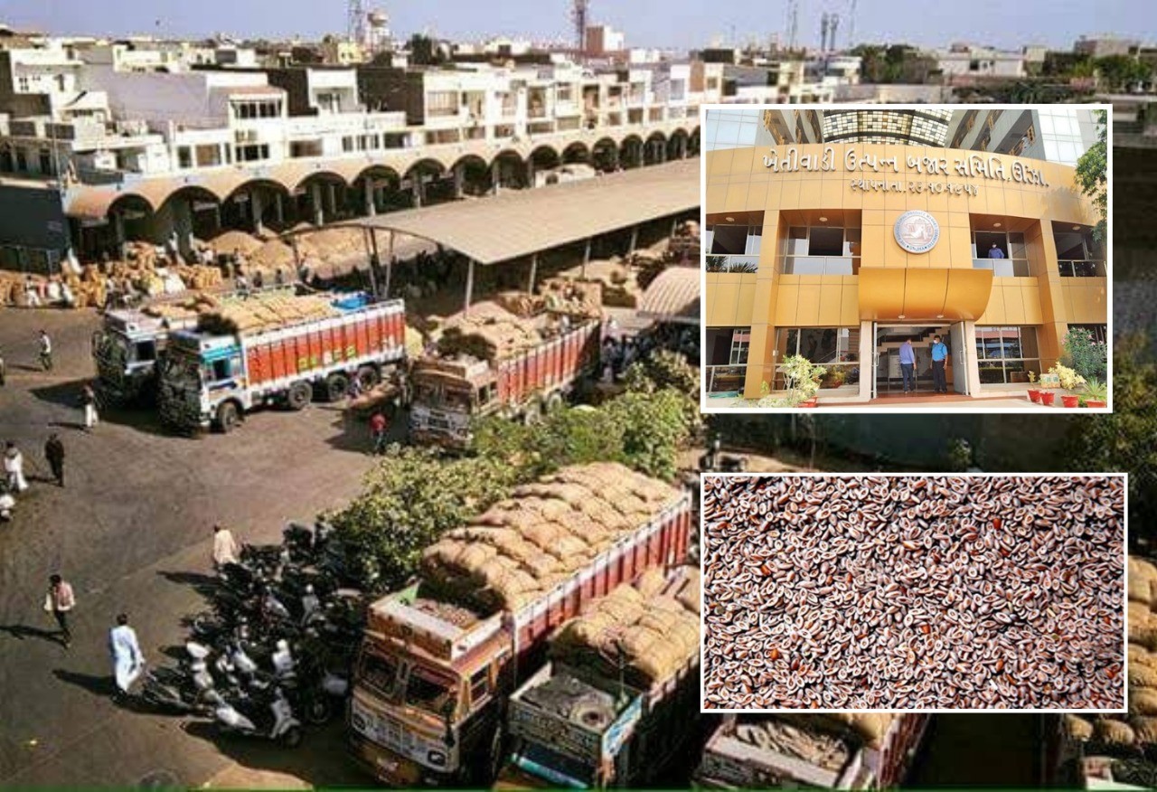 ઊંઝા APMCમાં ત્રણ દિવસથી ઈસબગુલની ખરીદી બંધ!