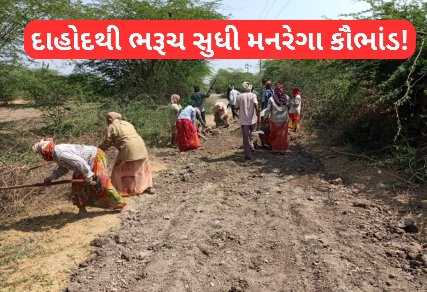 દાહોદ, પંચમહાલ, નર્મદા બાદ હવે ભરૂચ જિલ્લામાં મનરેગા કૌભાંડનો ઘટસ્ફોટ