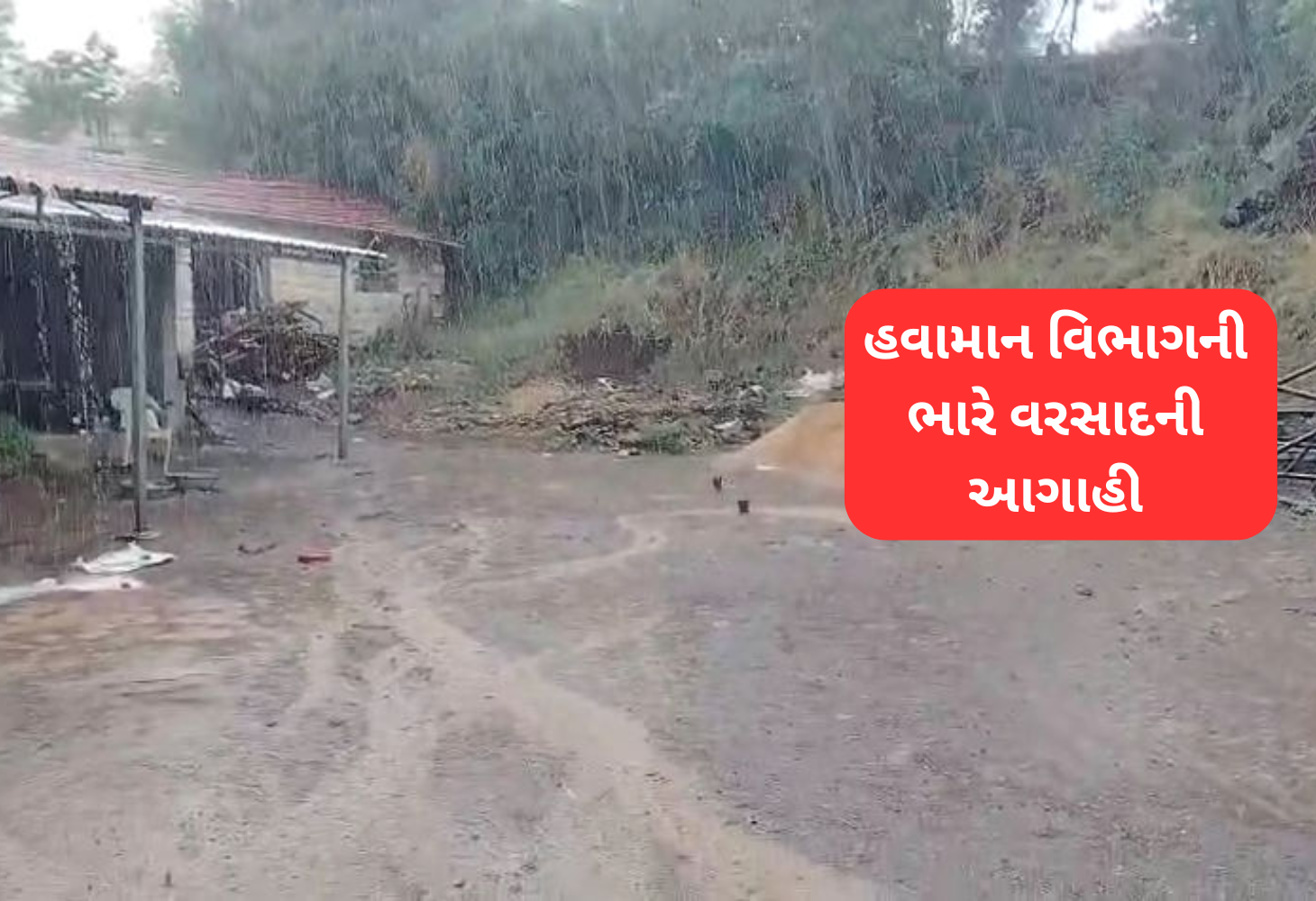 Amreli સહિત સૌરાષ્ટ્ર-દક્ષિણ ગુજરાતમાં વરસાદી માહોલ