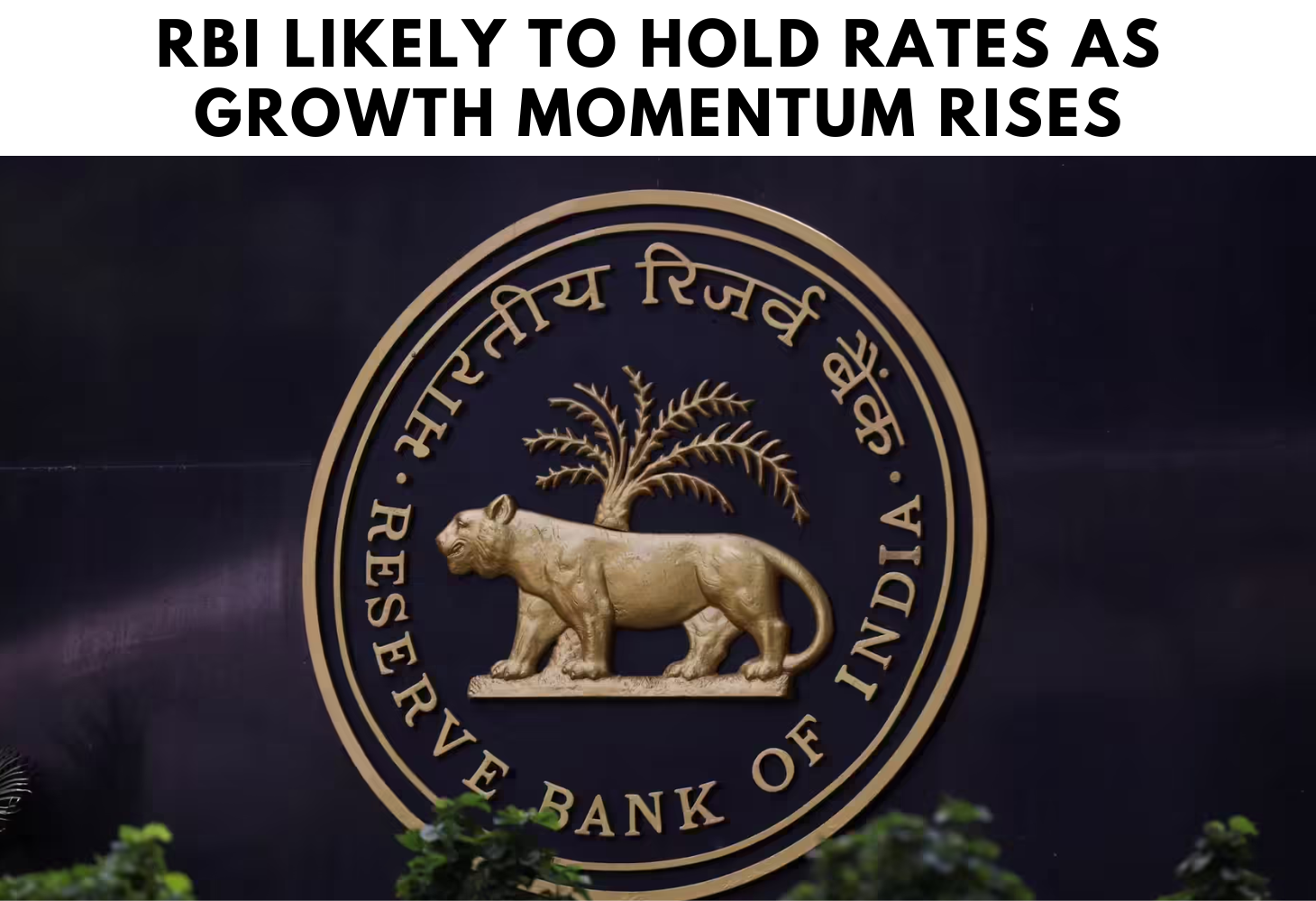 RBI Likely to Hold Rates as Growth Momentum Rises