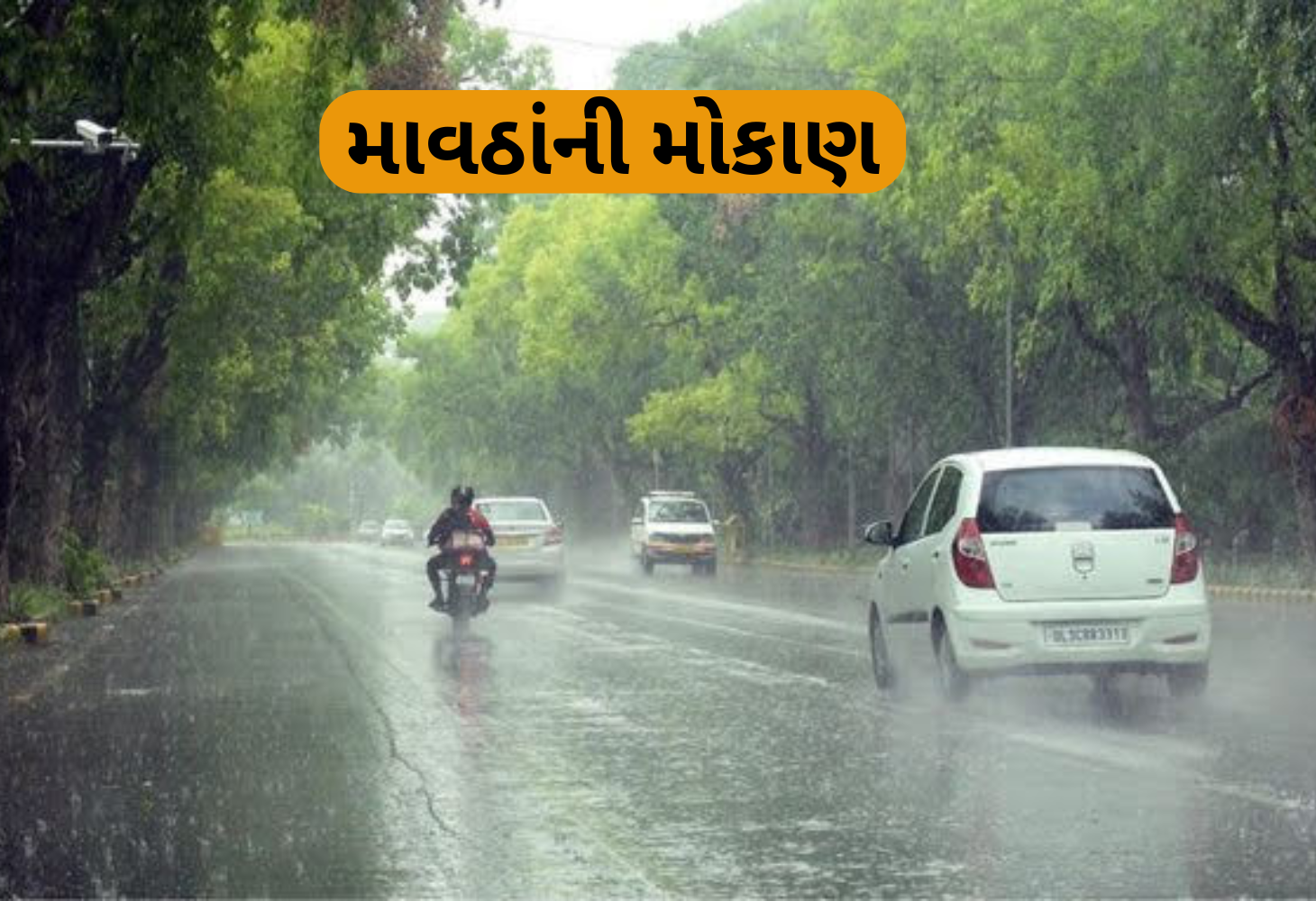 ગુજરાતમાં માવઠાંની મોકાણઃ 14 લોકો અને 26 પશુના મોત, 16 લોકો ઈજાગ્રસ્ત