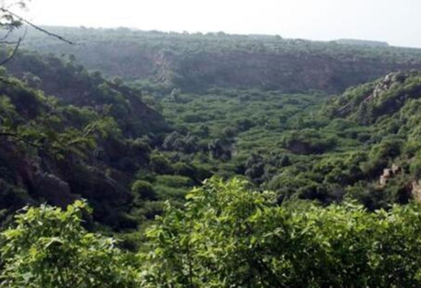 SC stays Aravalli order, flags ecological risks