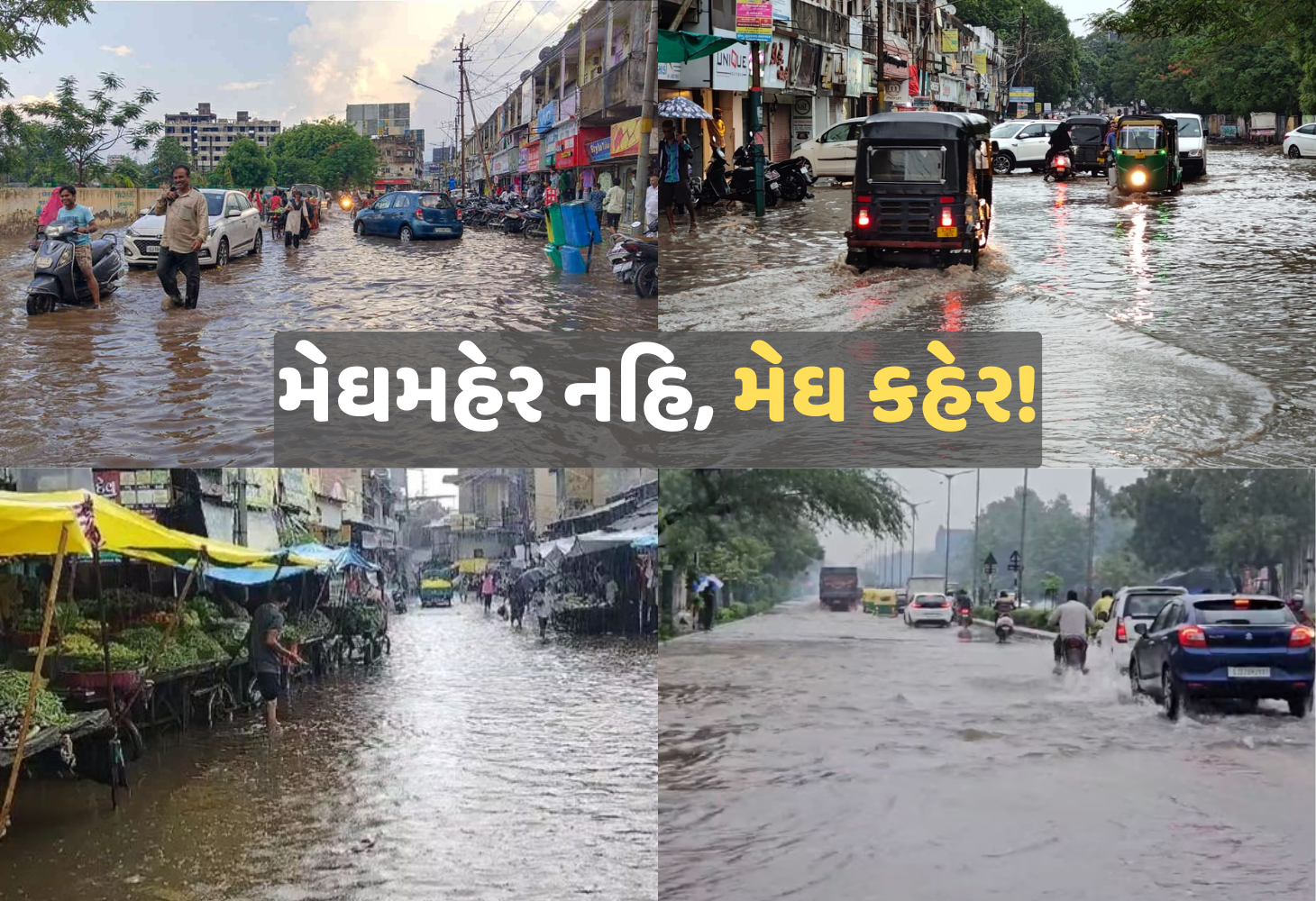 Bharuch માં જળબંબાકાર, 8.46 ઇંચ વરસાદ ખાબક્યો, ખેડૂતોના મોઢે આવેલો કોળિયો છીનવાયો!