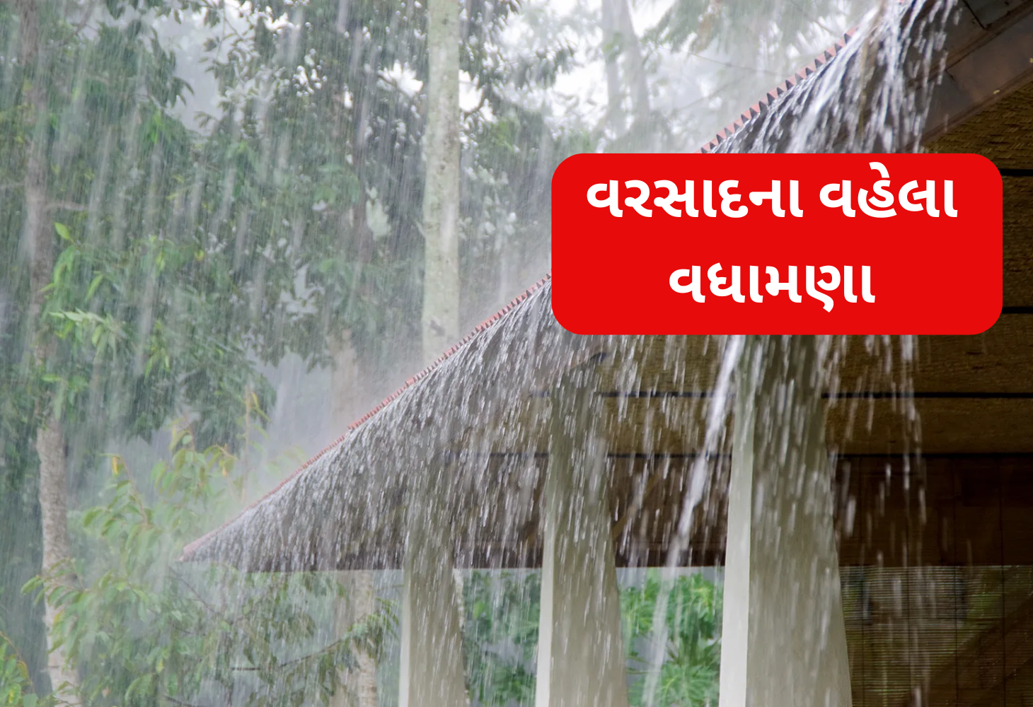 Gujarat માં વહેલું ચોમાસું: ખેડૂતોને સારા વરસાદની આશા