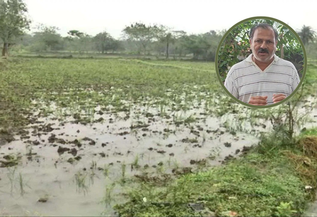પાક નુકસાનીનો સરવે 7 દિવસ કે 20 દિવસમાં?