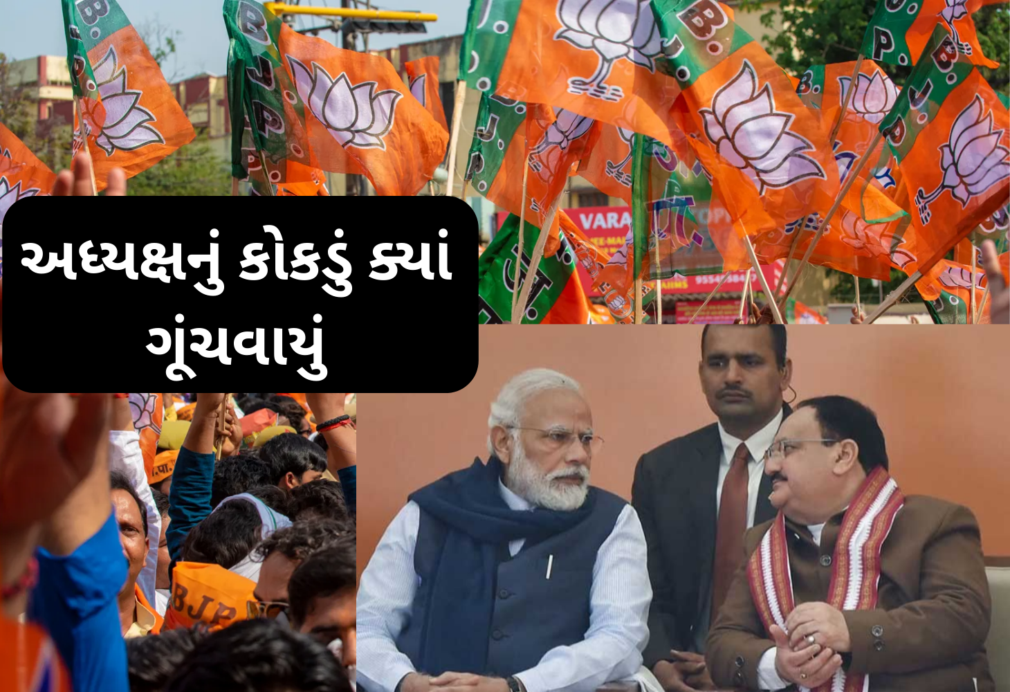 BJP ના રાષ્ટ્રીય અધ્યક્ષ પદની રેસ: નવા નેતૃત્વની શોધમાં પાર્ટી